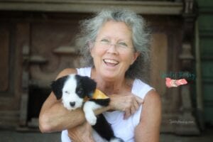 elderly woman with a two-tone aussiedoodle puppy