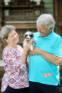 elderly couple with their new puppy