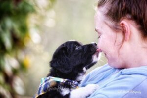 aussiedoodle puppy licking a woman’s nose