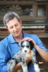 man petting a black, grey, and white aussiedoodle puppy